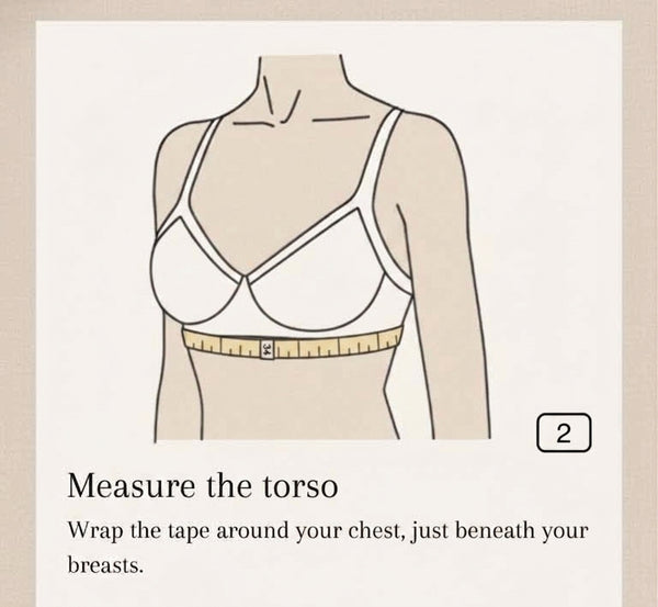 Measure the torso